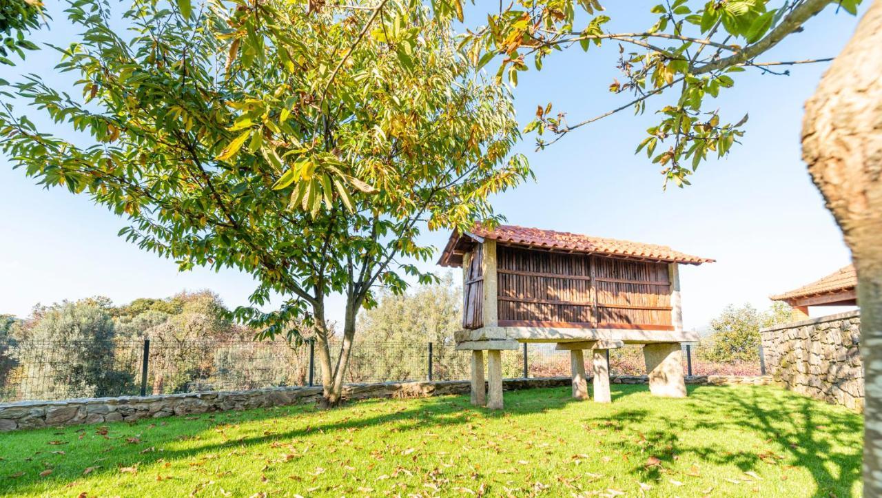 Casa Do Testado Ponte de Lima Dış mekan fotoğraf